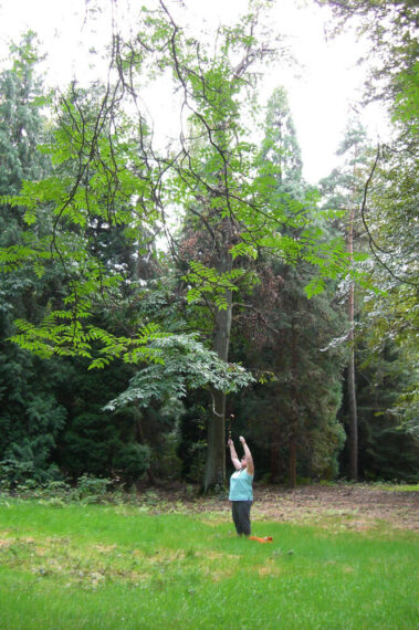 Impressionen Heilerausbildung