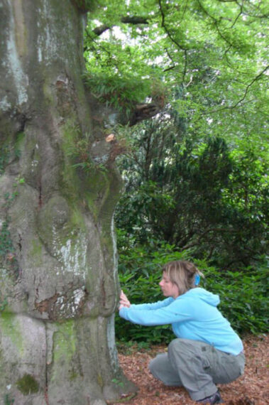 Impressionen Heilerausbildung