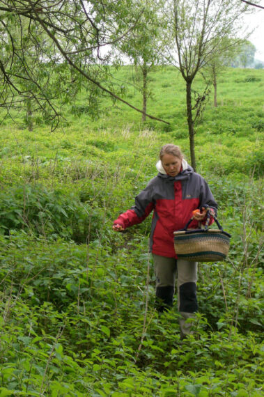 Impressionen Heilerausbildung