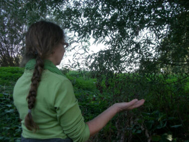 Impressionen Heilerausbildung