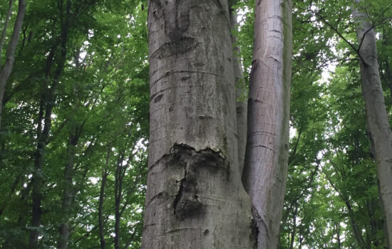 Impressionen Heilerausbildung