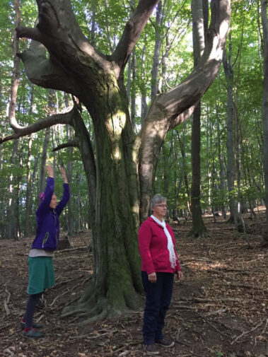 Impressionen Heilerausbildung