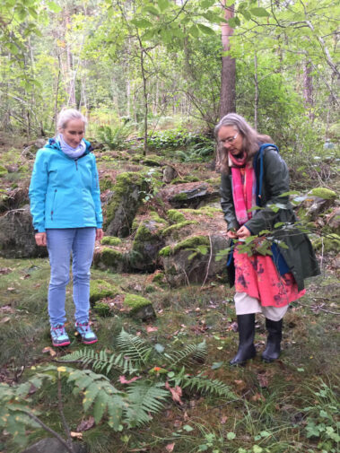 Impressionen Heilerausbildung